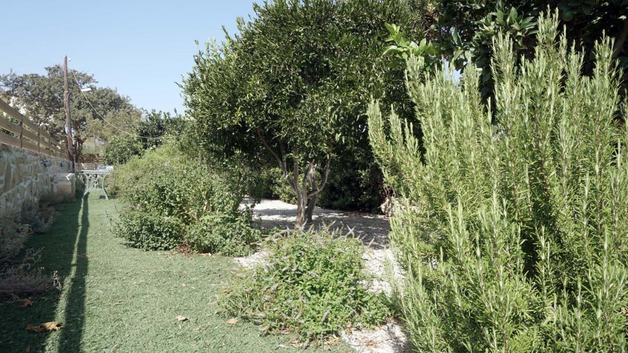 Studio Panagiota - Oasis Holiday Houses Kokkinos Pirgos Exterior photo