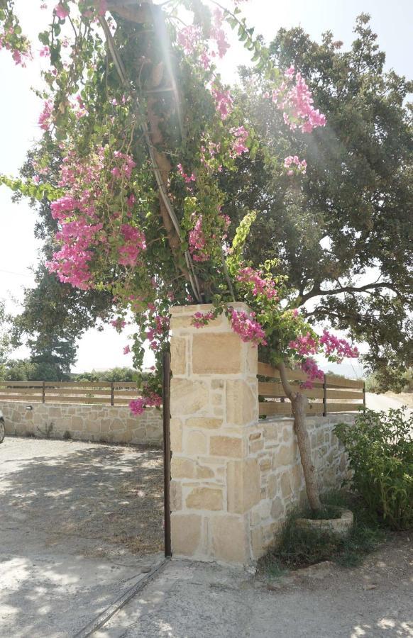 Studio Panagiota - Oasis Holiday Houses Kokkinos Pirgos Exterior photo